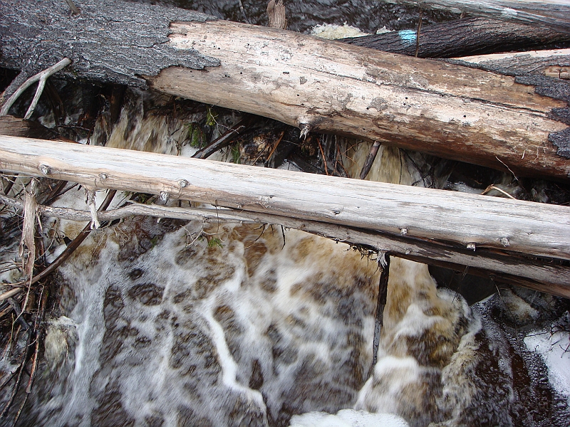 261 Memorial Day [2008 May 23].JPG - Scenes from Tahquanemon Falls in the Michigan Upper Peninsula.
